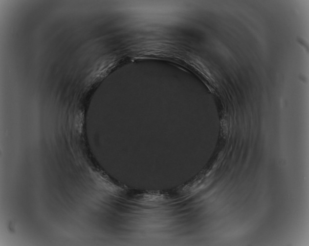 X0000093760458200710161226