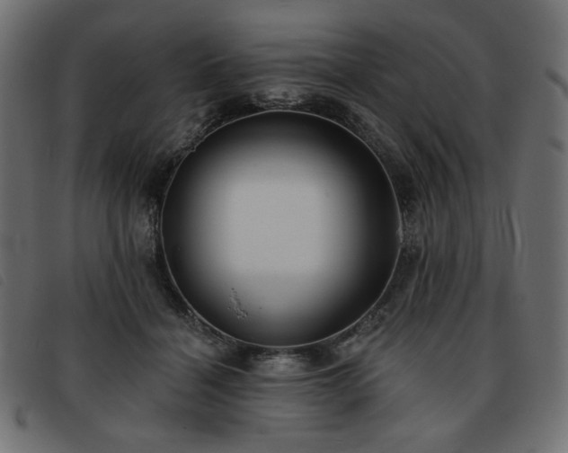 X0000093760460200710161226