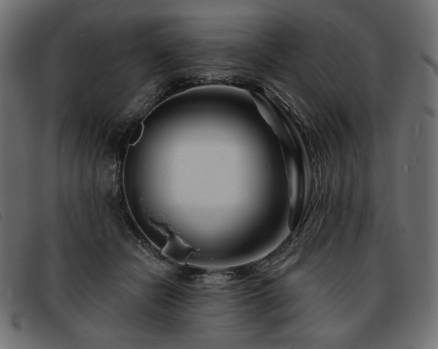 X0000093760462200710161226