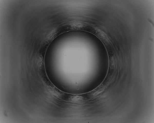 X0000093760463200710161226