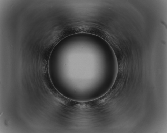 X0000093760464200710161226