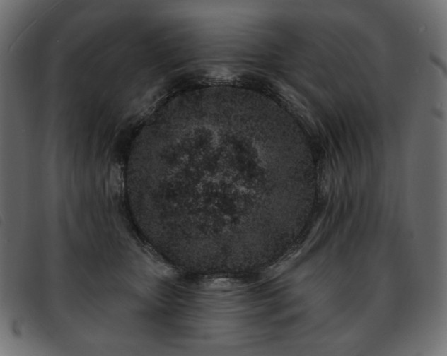 X0000093760467200710161226