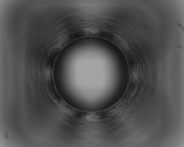 X0000093760468200710161226