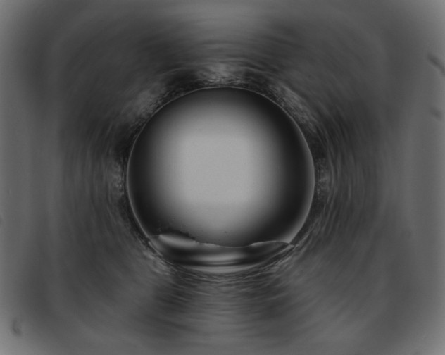 X0000093760469200710161226
