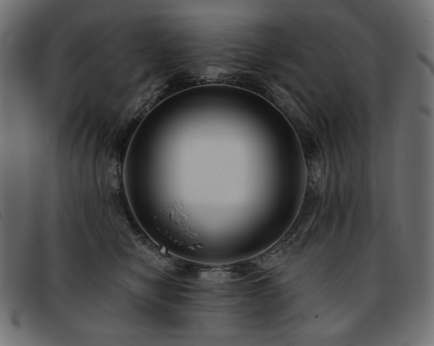 X0000093760470200710161226