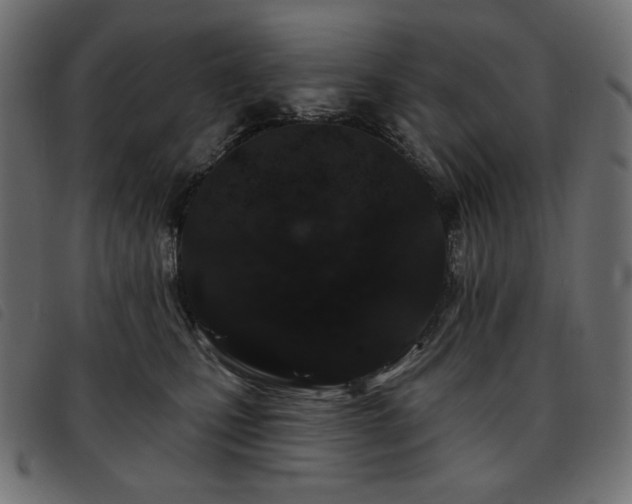 X0000093760471200710161226