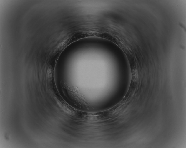 X0000093760472200710161226
