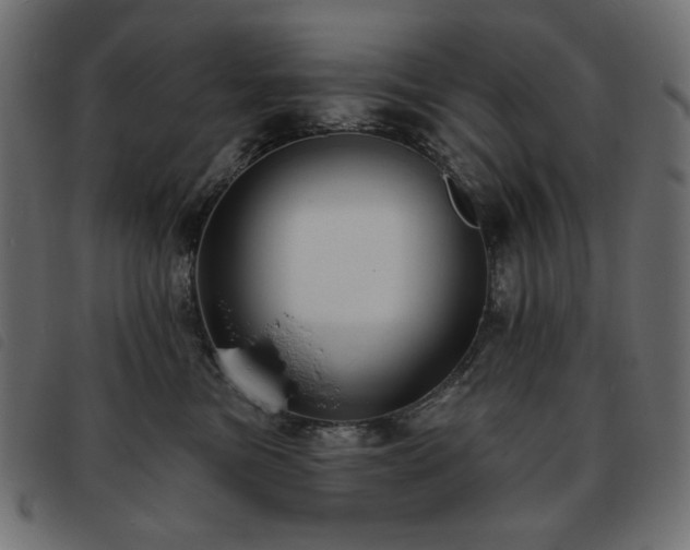 X0000093760473200710161226