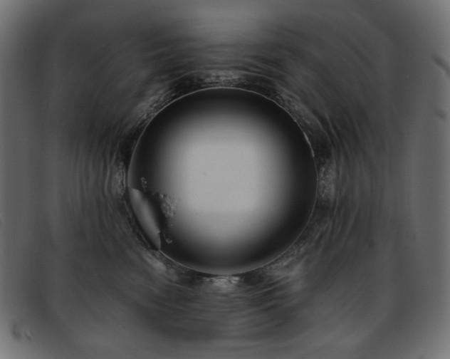 X0000093760474200710161226