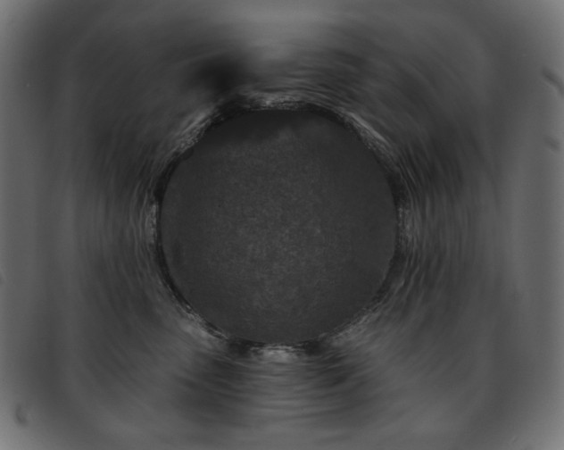 X0000093760475200710161226