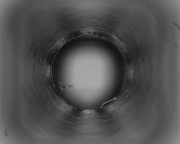 X0000093760477200710161226