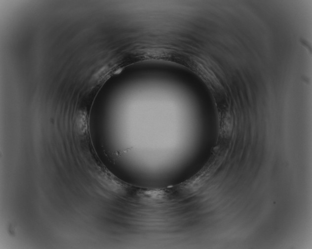 X0000093760478200710161226