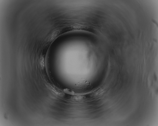 X0000093760479200710161226