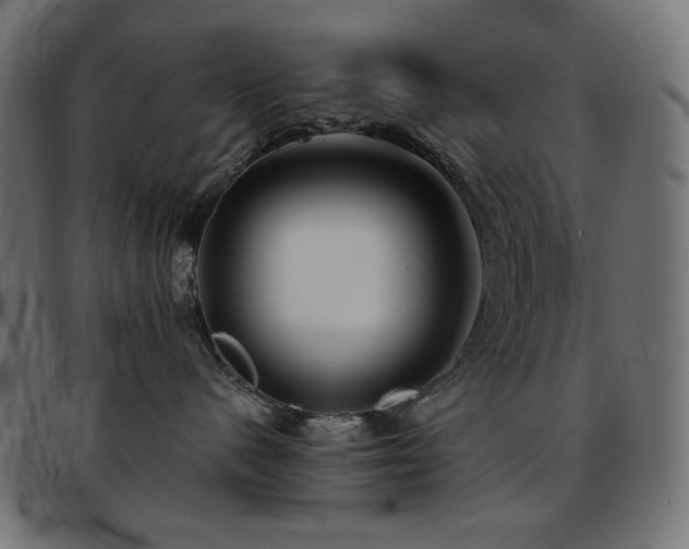 X0000093760480200710161226