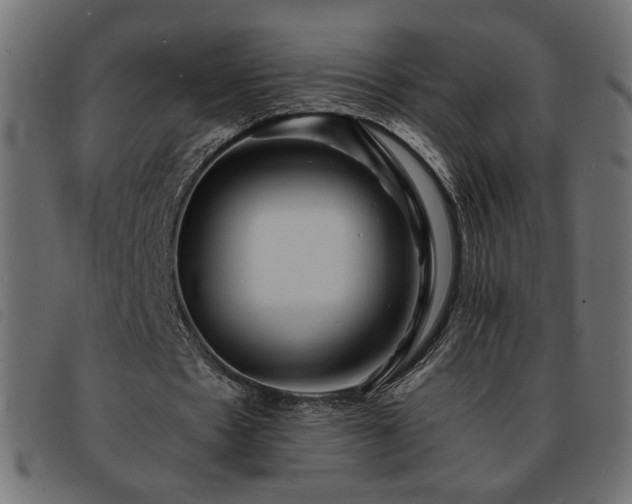 X0000093760481200710161226