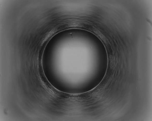 X0000093760482200710161226