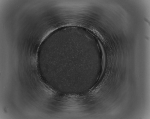 X0000093760484200710161226