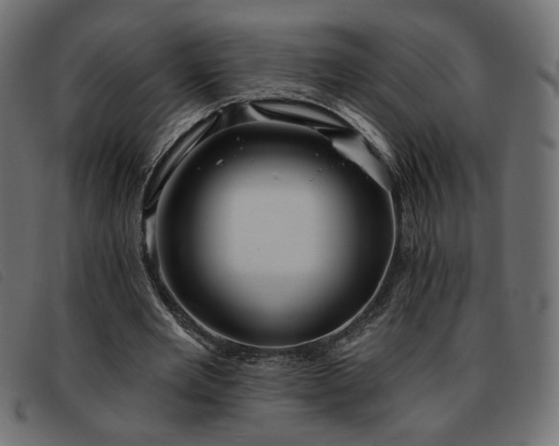 X0000093760485200710161226