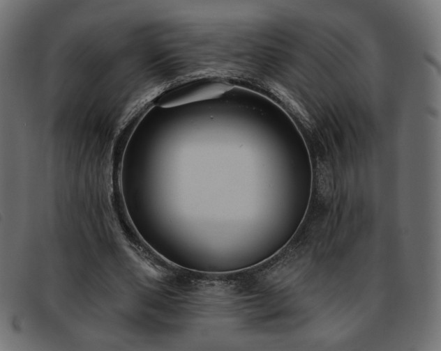 X0000093760486200710161226