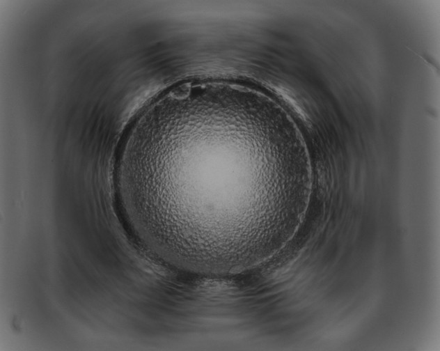 X0000093760487200710161226