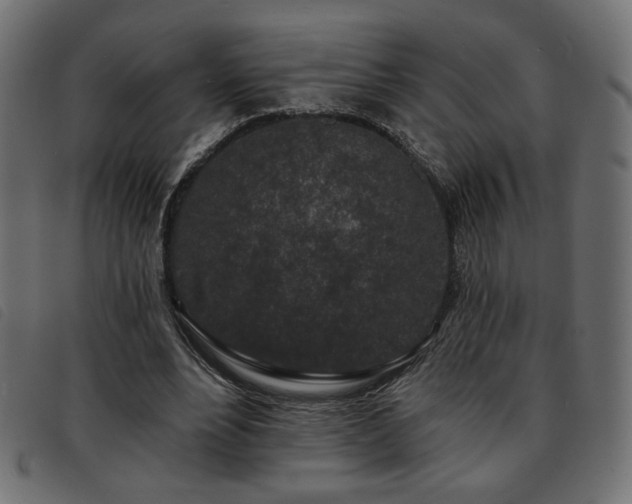 X0000093760488200710161226