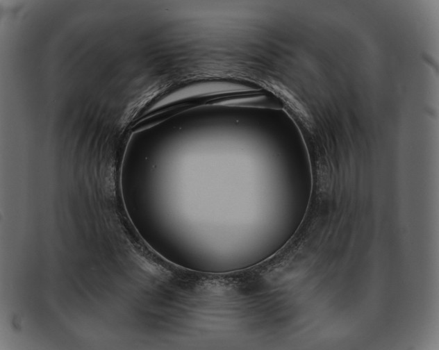 X0000093760489200710161226