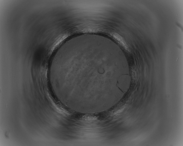 X0000093760491200710161225