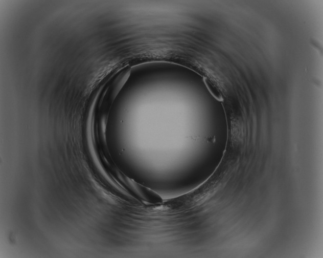 X0000093760493200710161225