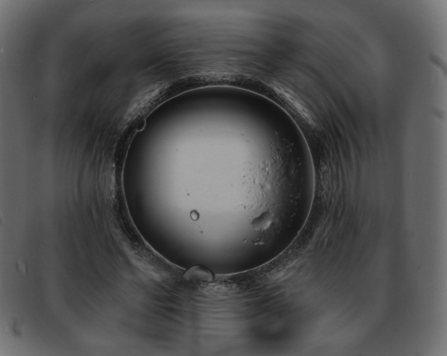 X0000093760494200710161225