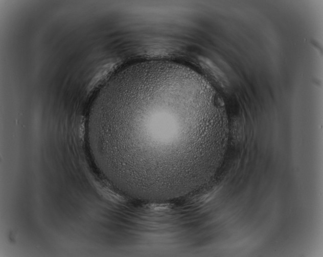 X0000093760495200710161225