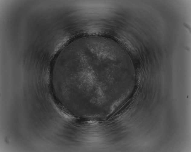X0000093760496200710161225