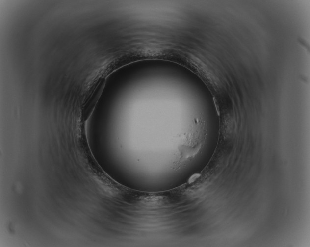 X0000093760497200710161225