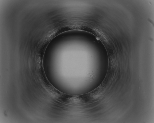 X0000093760498200710161225