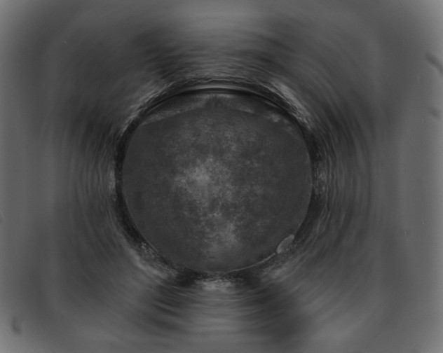X0000093760500200710161225