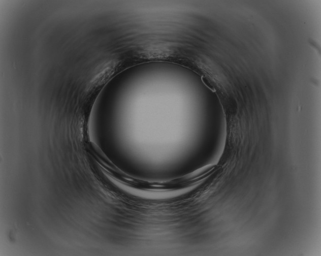 X0000093760501200710161225