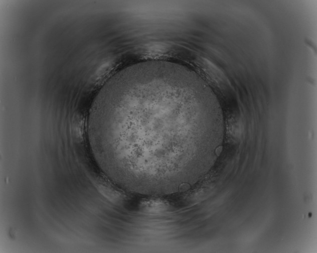 X0000093760503200710161225
