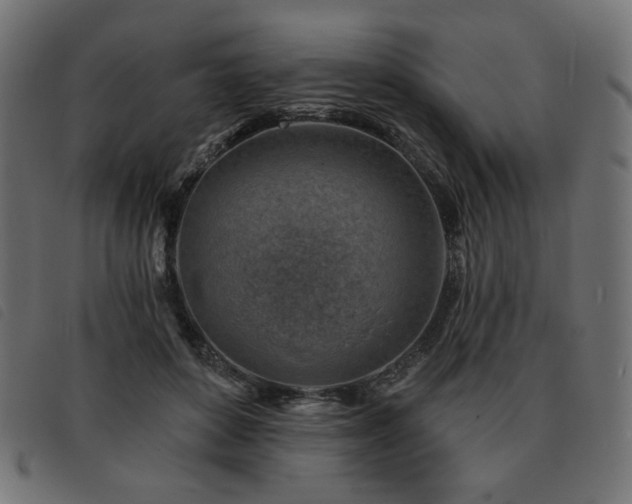 X0000093760504200710161225