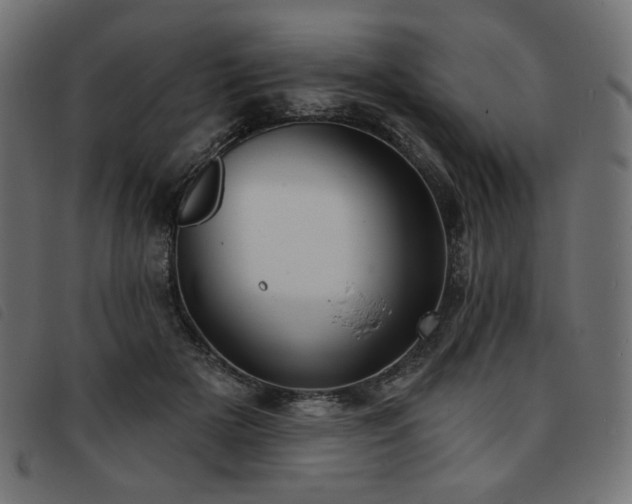 X0000093760505200710161225