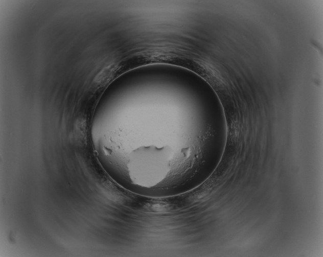 X0000093760506200710161225