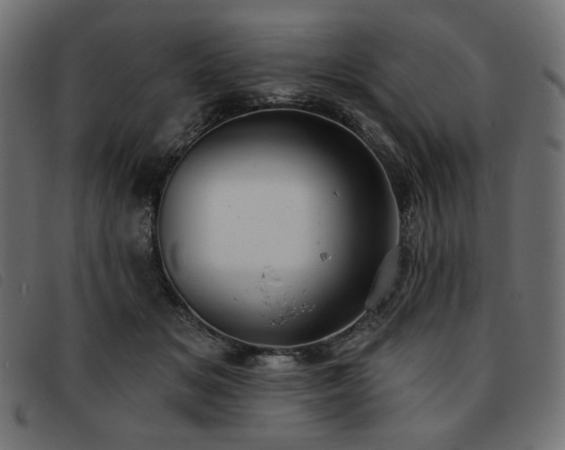 X0000093760509200710161225