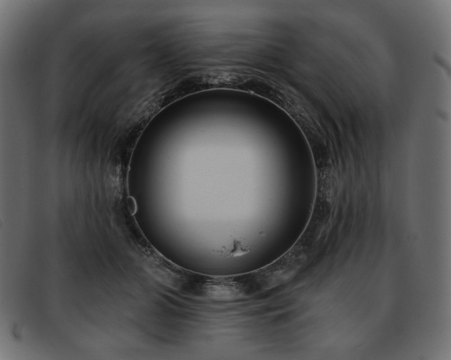 X0000093760510200710161225