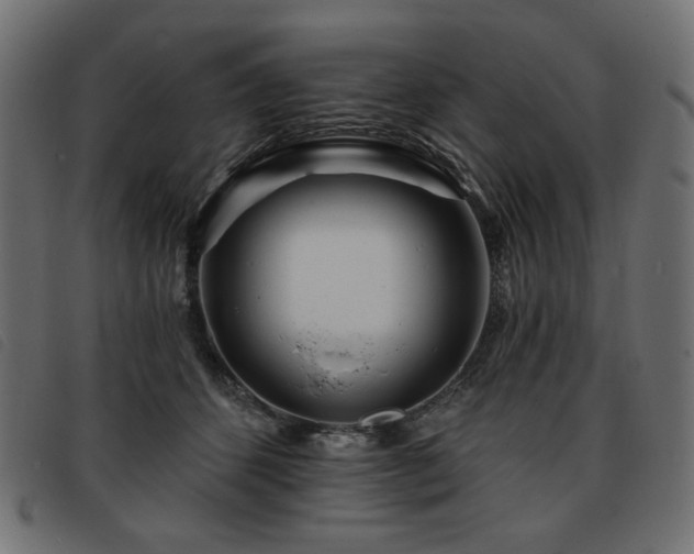 X0000093760512200710161225