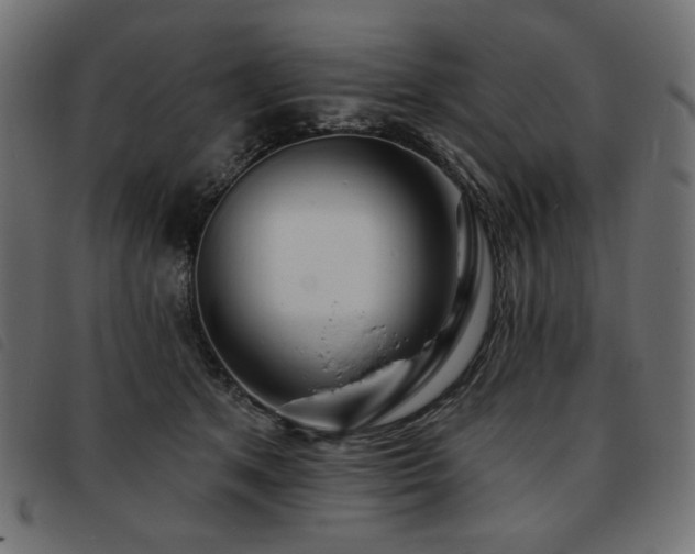 X0000093760513200710161225
