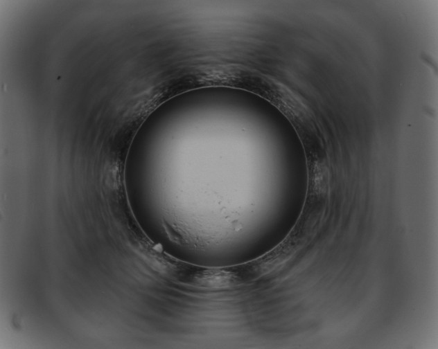 X0000093760514200710161225
