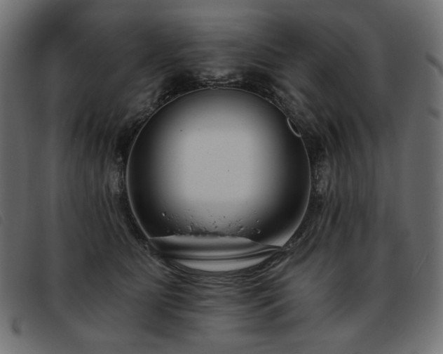 X0000093760515200710161225