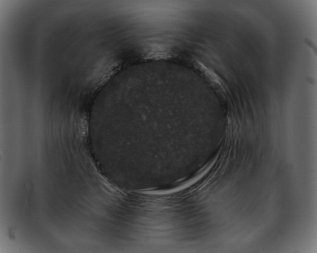 X0000093760517200710161225