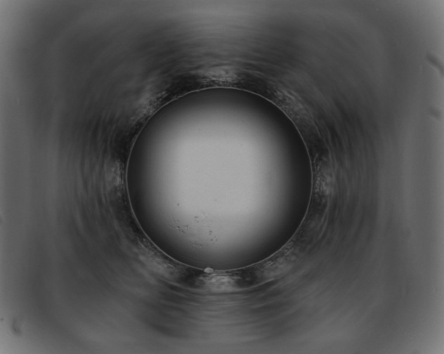 X0000093760518200710161225
