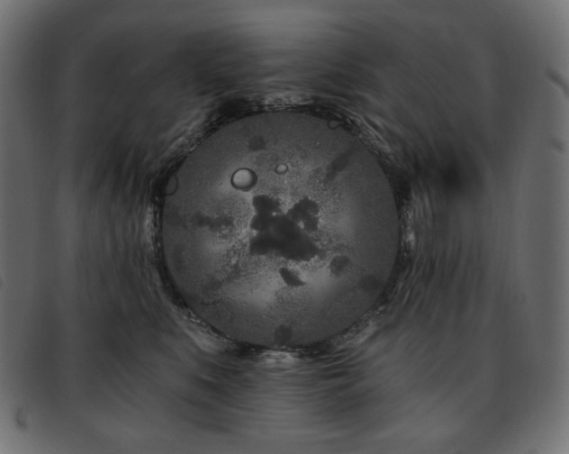 X0000093760519200710161225