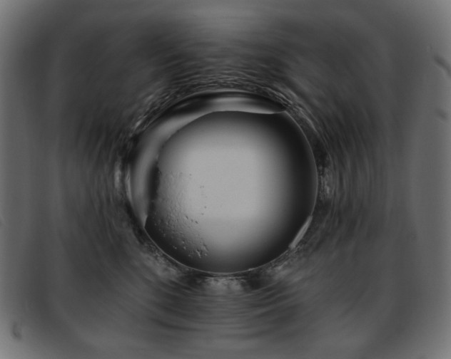 X0000093760520200710161225
