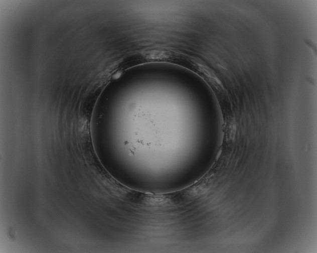 X0000093760521200710161225
